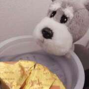 ヒメ日記 2025/04/22 15:27 投稿 笹本（ささもと） 丸妻 錦糸町店