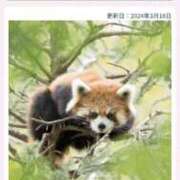 ヒメ日記 2025/05/13 14:17 投稿 笹本（ささもと） 丸妻 錦糸町店