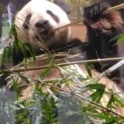 ヒメ日記 2025/07/10 17:07 投稿 笹本（ささもと） 丸妻 錦糸町店