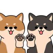 ヒメ日記 2025/10/12 19:18 投稿 笹本（ささもと） 丸妻 錦糸町店