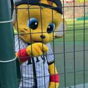 ヒメ日記 2025/10/18 21:41 投稿 笹本（ささもと） 丸妻 錦糸町店