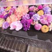 ヒメ日記 2025/10/25 09:46 投稿 笹本（ささもと） 丸妻 錦糸町店