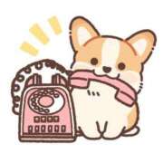 ヒメ日記 2025/11/05 19:57 投稿 笹本（ささもと） 丸妻 錦糸町店