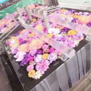 ヒメ日記 2025/12/25 17:32 投稿 笹本（ささもと） 丸妻 錦糸町店