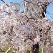 ヒメ日記 2026/03/29 18:41 投稿 笹本（ささもと） 丸妻 錦糸町店