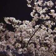 ヒメ日記 2026/04/07 15:39 投稿 笹本（ささもと） 丸妻 錦糸町店