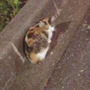 ヒメ日記 2026/07/05 16:44 投稿 笹本（ささもと） 丸妻 錦糸町店