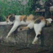 ヒメ日記 2026/08/08 17:19 投稿 笹本（ささもと） 丸妻 錦糸町店