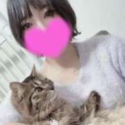 ヒメ日記 2026/03/21 09:27 投稿 ゆう 町田人妻城