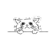 ヒメ日記 2025/06/12 23:53 投稿 若菜(わかな) MERMAID～マーメイド～