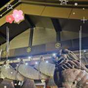 ヒメ日記 2026/01/01 08:21 投稿 若菜(わかな) MERMAID～マーメイド～