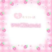 ヒメ日記 2026/05/23 08:30 投稿 若菜(わかな) MERMAID～マーメイド～