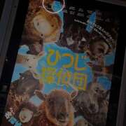 ヒメ日記 2026/05/28 07:20 投稿 若菜(わかな) MERMAID～マーメイド～
