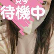 ヒメ日記 2025/02/21 09:22 投稿 あかね☆ 豊橋豊川ちゃんこ