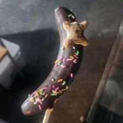 ヒメ日記 2025/09/28 10:53 投稿 あかね☆ 豊橋豊川ちゃんこ