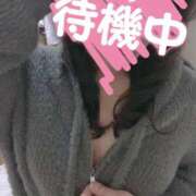 ヒメ日記 2025/11/14 12:22 投稿 あかね☆ 豊橋豊川ちゃんこ