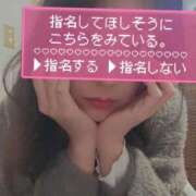 ヒメ日記 2025/11/14 22:26 投稿 あかね☆ 豊橋豊川ちゃんこ