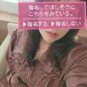 ヒメ日記 2025/11/15 14:22 投稿 あかね☆ 豊橋豊川ちゃんこ