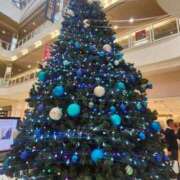 ヒメ日記 2025/12/06 00:32 投稿 あかね☆ 豊橋豊川ちゃんこ