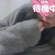 ヒメ日記 2025/12/21 01:32 投稿 あかね☆ 豊橋豊川ちゃんこ