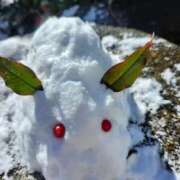 ヒメ日記 2026/01/23 09:32 投稿 あかね☆ 豊橋豊川ちゃんこ