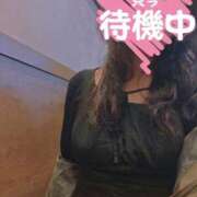 ヒメ日記 2026/03/04 09:22 投稿 あかね☆ 豊橋豊川ちゃんこ