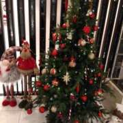 ヒメ日記 2024/12/25 20:34 投稿 ちさと 熟女の風俗最終章 仙台店