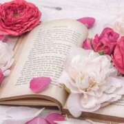 ヒメ日記 2025/02/18 14:51 投稿 綾瀬 すずの Men's relaxation VEGA