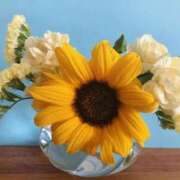 ヒメ日記 2025/08/01 17:54 投稿 綾瀬 すずの Men's relaxation VEGA