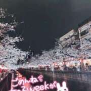 ヒメ日記 2025/04/03 06:15 投稿 まなつ 丸妻 新横浜店