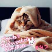 ヒメ日記 2025/06/12 09:08 投稿 まなつ 丸妻 新横浜店