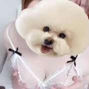 ヒメ日記 2025/11/02 10:35 投稿 まなつ 丸妻 新横浜店