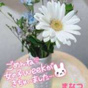 ヒメ日記 2026/03/06 07:13 投稿 まなつ 丸妻 新横浜店