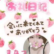 ヒメ日記 2026/04/06 13:09 投稿 まなつ 丸妻 新横浜店