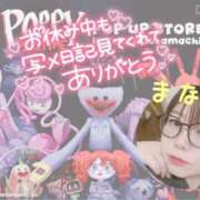 ヒメ日記 2026/04/09 12:03 投稿 まなつ 丸妻 新横浜店