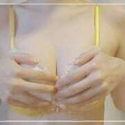 ヒメ日記 2025/09/11 15:03 投稿 せれね ホワイトベル