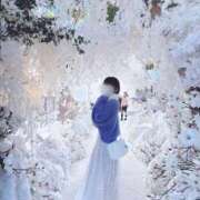 ヒメ日記 2026/01/11 12:32 投稿 せれね ホワイトベル