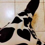 ヒメ日記 2025/04/30 21:11 投稿 真珠奥様 母ちゃんの秘密