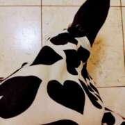 ヒメ日記 2025/09/03 17:38 投稿 真珠奥様 母ちゃんの秘密