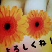 ヒメ日記 2025/09/29 17:31 投稿 真珠奥様 母ちゃんの秘密