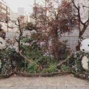 ヒメ日記 2025/12/31 17:30 投稿 ふゆ かりんとplus　上野御徒町