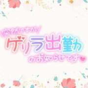 ヒメ日記 2024/12/21 09:10 投稿 ことね 脱がされたい人妻 宇都宮店