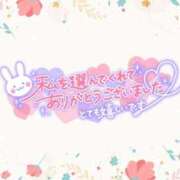 ヒメ日記 2025/04/03 15:31 投稿 ことね 脱がされたい人妻 宇都宮店