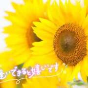 ヒメ日記 2025/07/23 01:06 投稿 ことね 脱がされたい人妻 宇都宮店