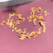 ヒメ日記 2025/02/25 01:01 投稿 みるく 日暮里・西日暮里サンキュー