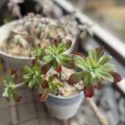 ヒメ日記 2025/02/01 15:35 投稿 まい 奥鉄オクテツ大阪