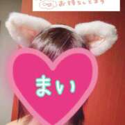 ヒメ日記 2026/02/19 09:55 投稿 まい 奥鉄オクテツ奈良