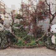 ヒメ日記 2025/12/31 17:37 投稿 ふゆ 上野添い寝女子