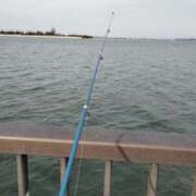 ヒメ日記 2025/03/31 10:11 投稿 姫川 唯 こあくまな熟女たち三河店（KOAKUMAグループ）