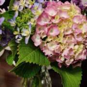 ヒメ日記 2025/06/04 01:10 投稿 姫川 唯 こあくまな熟女たち三河店（KOAKUMAグループ）